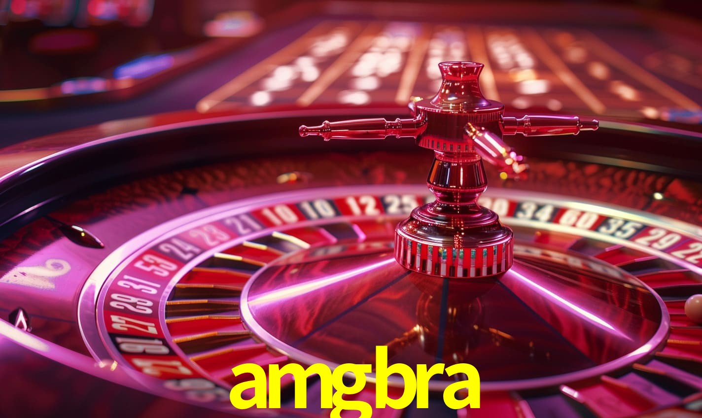 amgbra - Customer Support